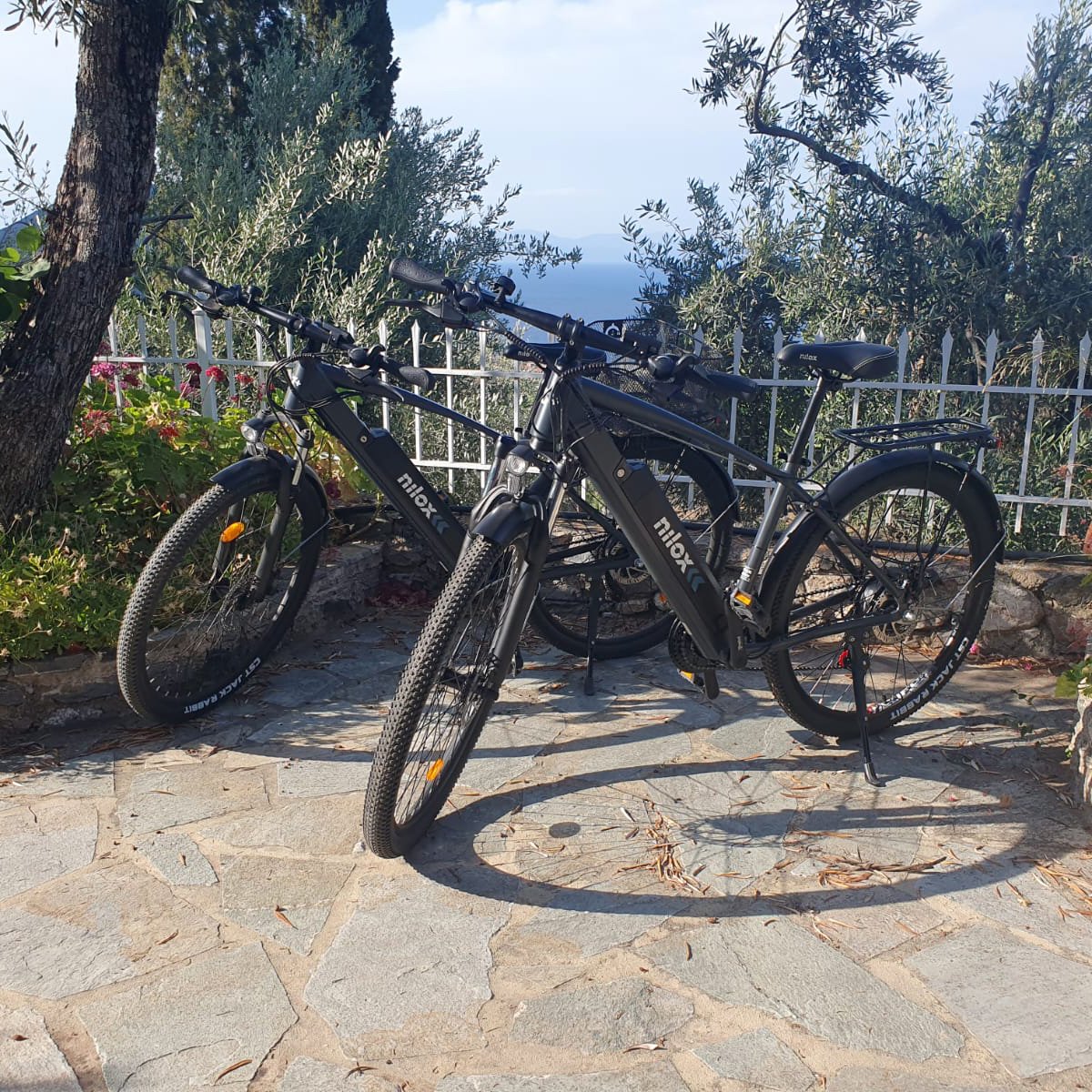 Electric bikes