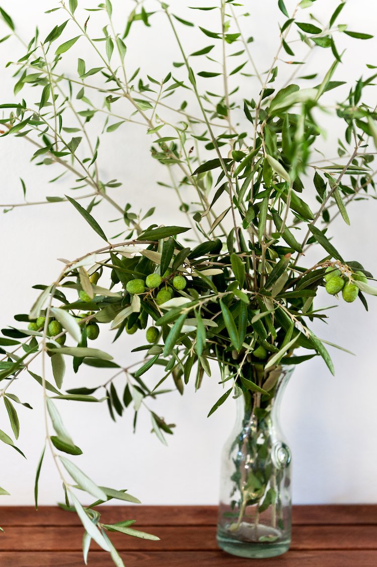 Studio Elia (Olive)
