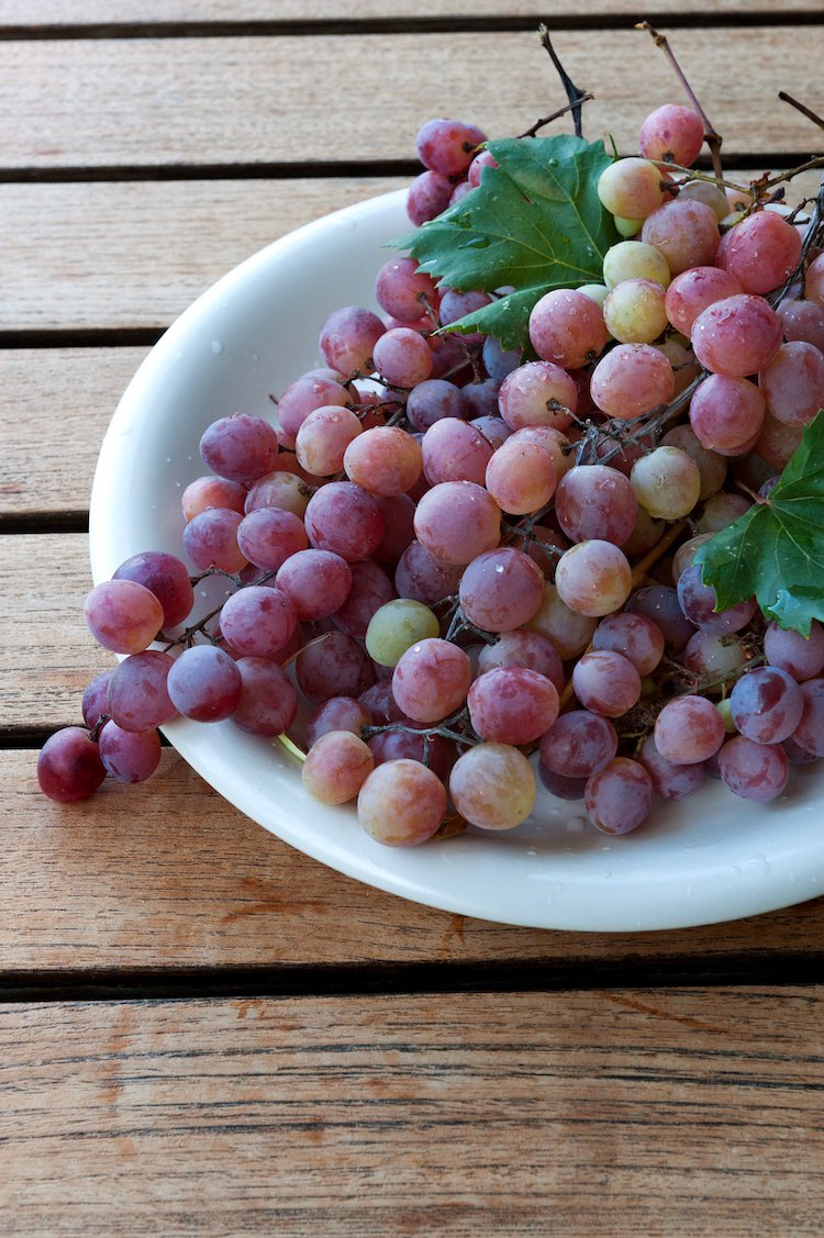 Studio Stafyli (Grape)