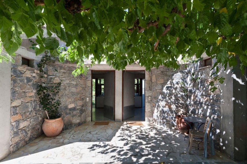 Studio Stafyli (Grape)